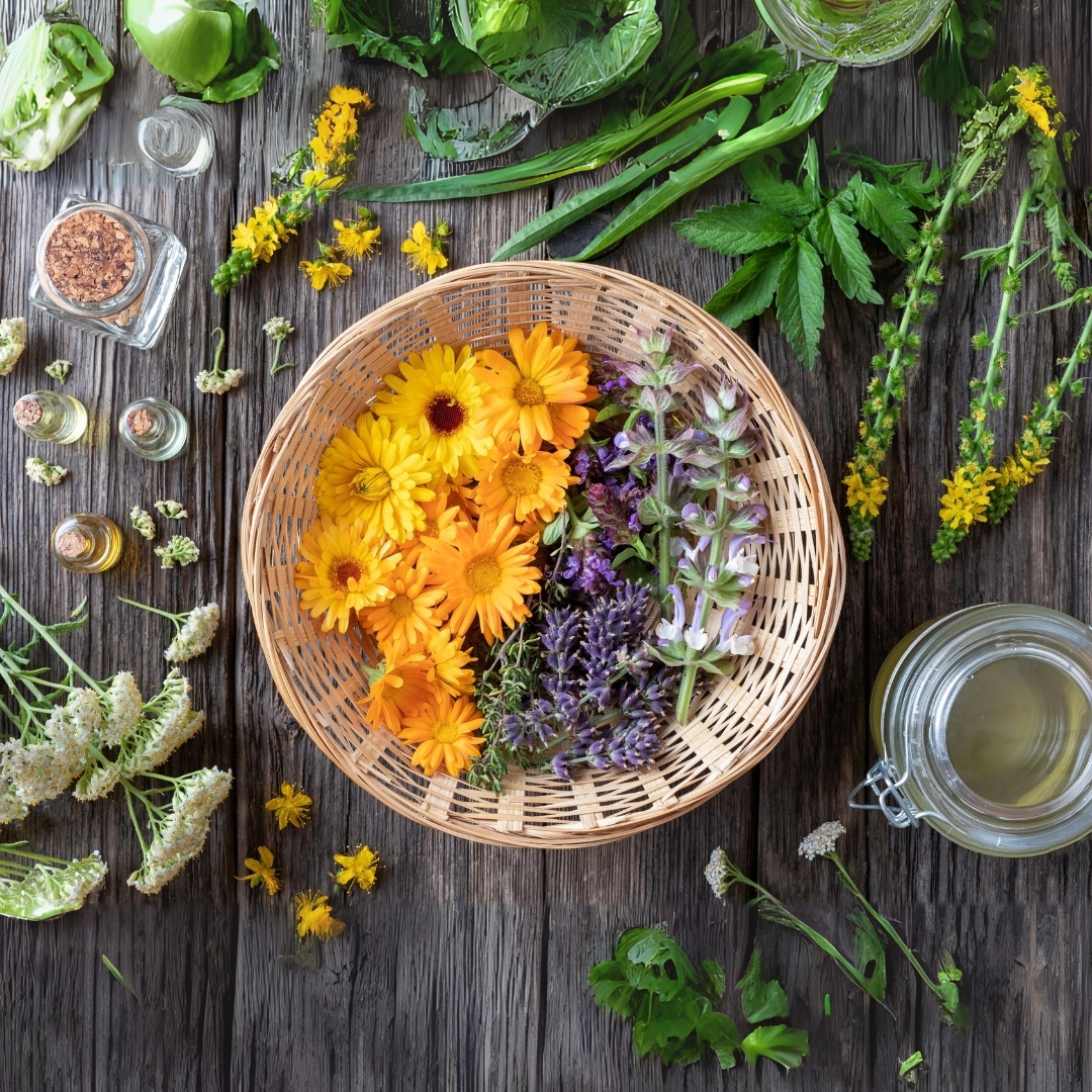 Fresh Kokular Canlandırıcı ve Ferahlatıcı Bir Deneyim  Taze kokular, doğanın