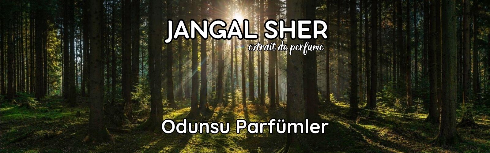 odunsu-parfumler